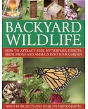 Backyard Wildlife: How to Attract Bees, Butterflies, Insects, Birds, Frogs and Animals into Your Garden