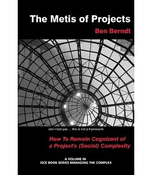 The Metis of Projects: How to Remain Cognizant of a Projectâs Social Complexity