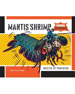 Mantis Shrimp: Master of Punching