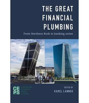 The Great Financial Plumbing: From Northern Rock to Banking Union