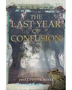The Last Year of Confusion