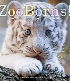 ZooBorns!: Zoo Babies from Around the World