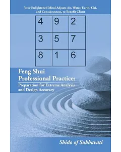 Feng Shui Professional Practice: Preparation for Extreme Analysis and Design Accuracy
