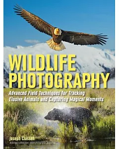 Wildlife Photography: Advanced Field Techniques for Tracking Elusive Animals and Capturing Magical Moments