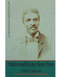 Diamond Grove Slave Tree