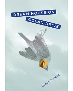 Dream House on Golan Drive