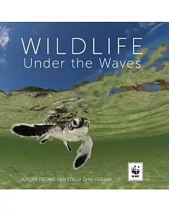 Wildlife Under the Waves