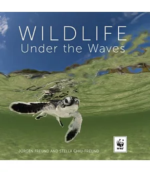 Wildlife Under the Waves