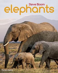 Elephants: A Book for Children