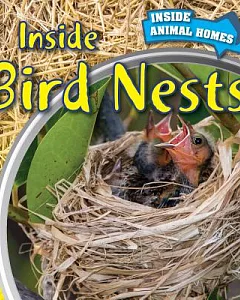 Inside Bird Nests