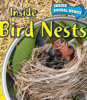 Inside Bird Nests