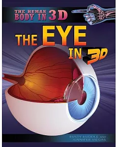 The Eye in 3D