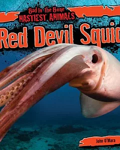 Red Devil Squid