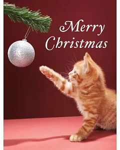 Christmas Kitty Holiday Full Notecards
