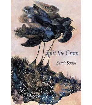 Split the Crow