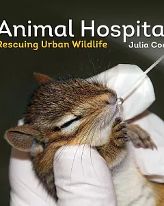 Animal Hospital: Rescuing Urban Wildlife