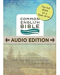 Common English Audio Bible Flash Drive