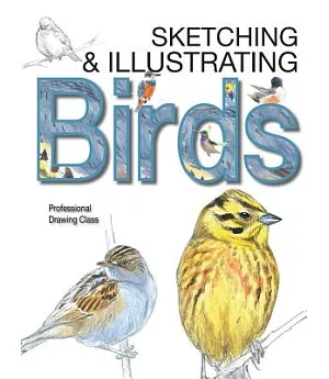Sketching & Illustrating Birds