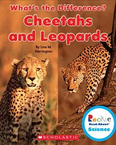 Cheetahs and Leopards
