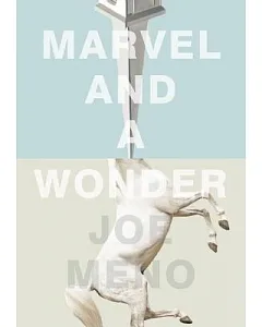Marvel and a Wonder
