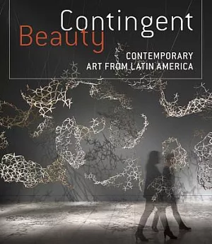 Contingent Beauty: Contemporary Art from Latin America