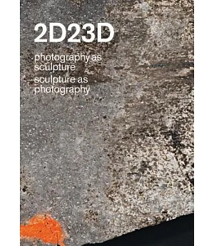 2D23D: Photography As Sculpture / Sculpture As Photography