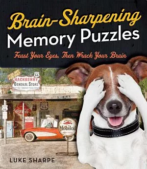 Brain-sharpening Memory Puzzles: Test Your Recall With 80 Photo Games