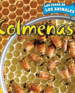 Colmenas / Inside Beehives