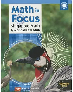 Math in Focus: Singapore Math 4B