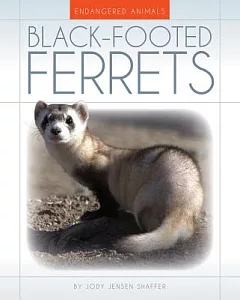 Black-Footed Ferrets