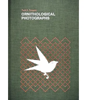 Todd R. Forsgren: Ornithological Photographs