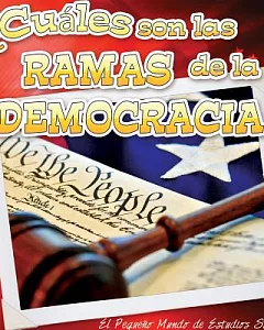 Cuales son las ramas de la democracia? / What are the Branches of Democracy?