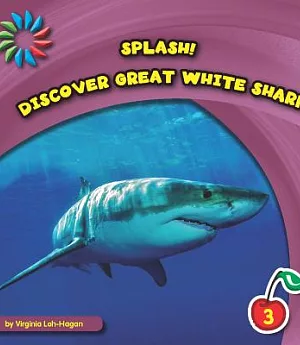 Discover Great White Sharks