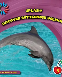 Discover Bottlenose Dolphins