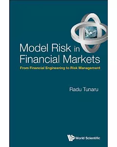 Model Risk in Financial Markets: From Financial Engineering to Risk Management