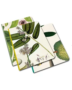 Remarkable Plants: Notebook Set A5