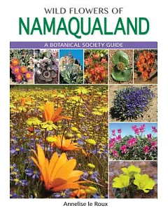 Wild Flowers Of Namaqualand