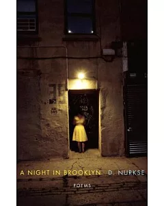 A Night in Brooklyn: Poems