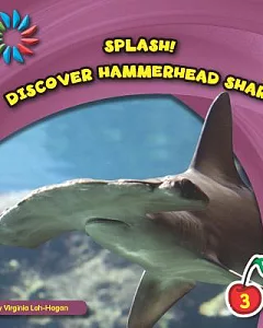 Discover Hammerhead Shark