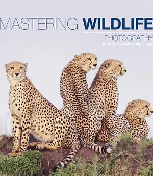 Mastering Wildlife Photography