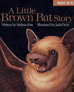 A Little Brown Bat Story