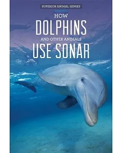 How Dolphins and Other Animals Use Sonar