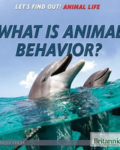 What Is Animal Behavior?