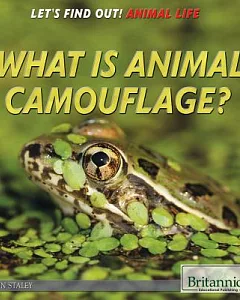 What is Animal Camouflage?