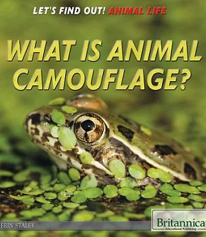 What is Animal Camouflage?