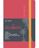 Los Angeles Visual Notebook: Red Leather