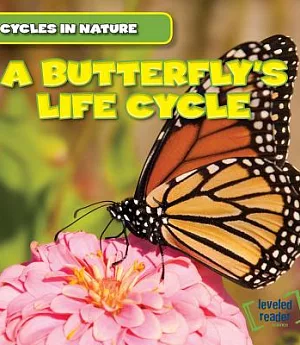 A Butterfly’s Life Cycle