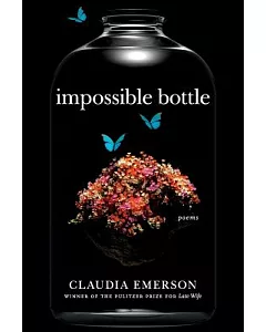 Impossible Bottle