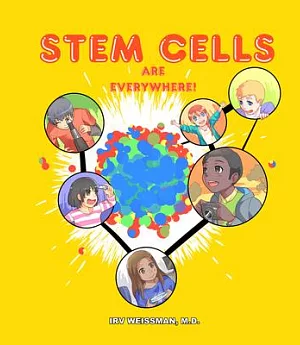 Stem Cells Are Everywhere