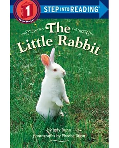 The Little Rabbit